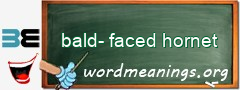 WordMeaning blackboard for bald-faced hornet